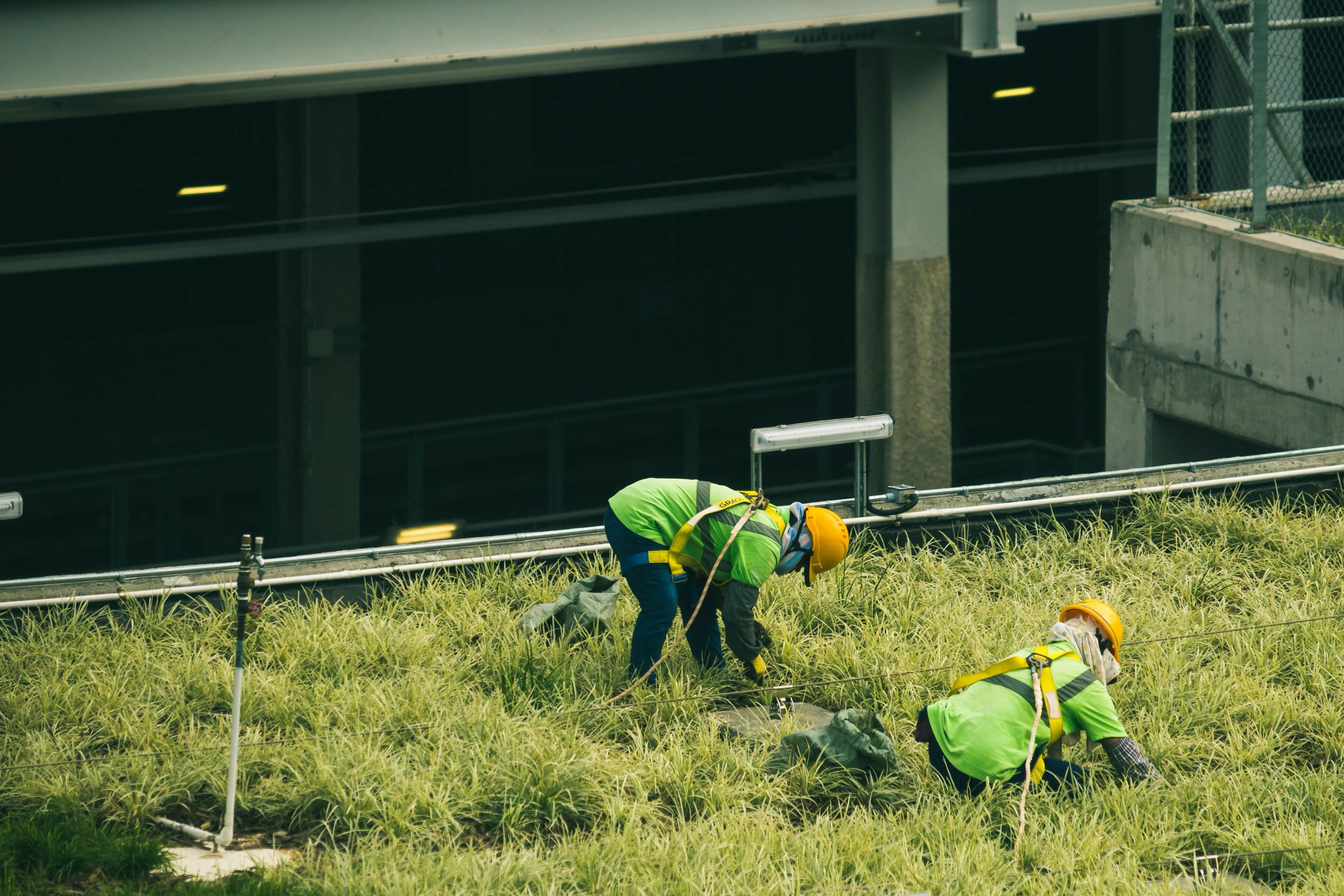 Landscaping